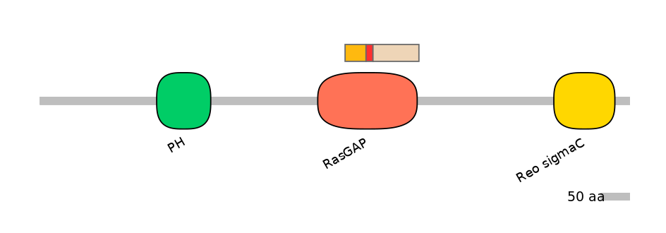 RnoALTD0025093-2_2-INC