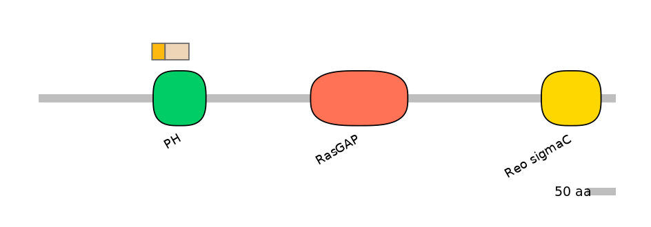 RnoALTD0025095-1_2-INC
