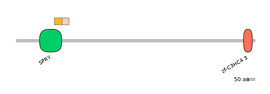 RnoALTD0025783-2_2-EXC