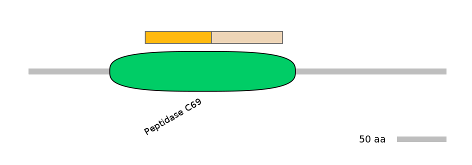 RnoALTD0026761-2_2-EXC