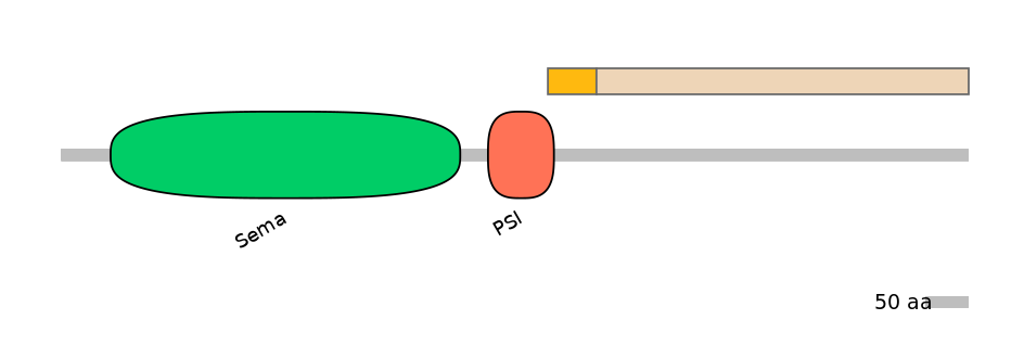 RnoALTD0027029-1_2-EXC