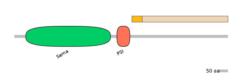 RnoALTD0027029-2_2-EXC