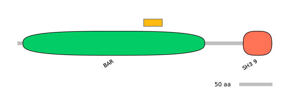 RnoALTD0027408-1_2-EXC