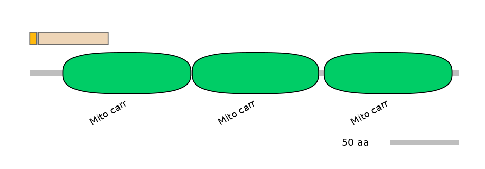 RnoALTD0027855-1_3-INC