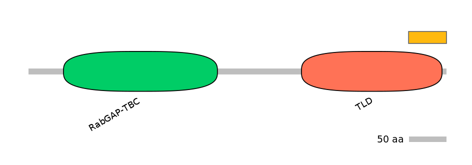 RnoALTD0030204-2_3-EXC
