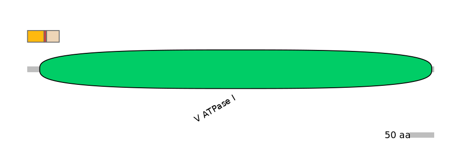 RnoALTD0030351-2_3-EXC