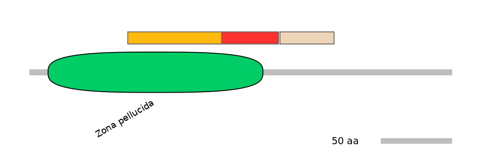 RnoALTD0030640-4_4-EXC