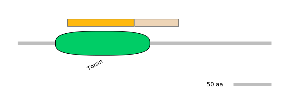 RnoALTD0031577-2_2-EXC