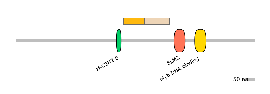RnoALTD0031832-1_2-EXC