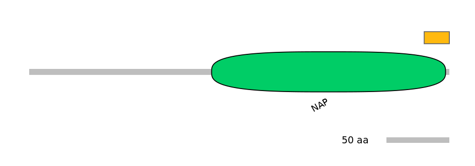 RnoALTD0032198-2_2-EXC