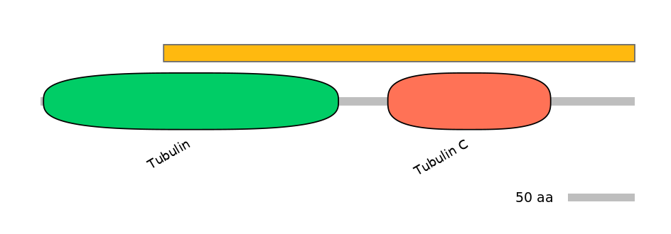 RnoALTD0032372-1_3-EXC