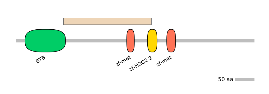 RnoALTD0034391-1_2-EXC