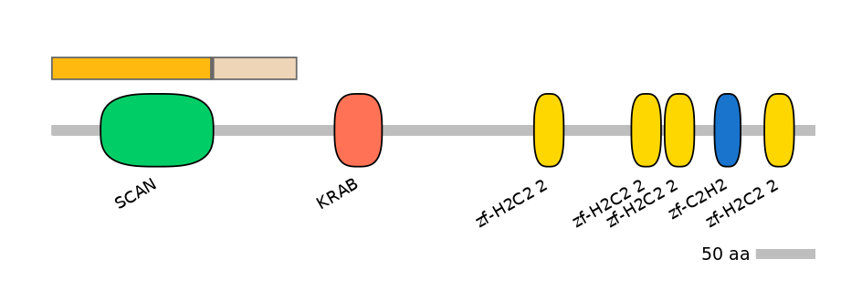 RnoALTD0034409-2_2-INC