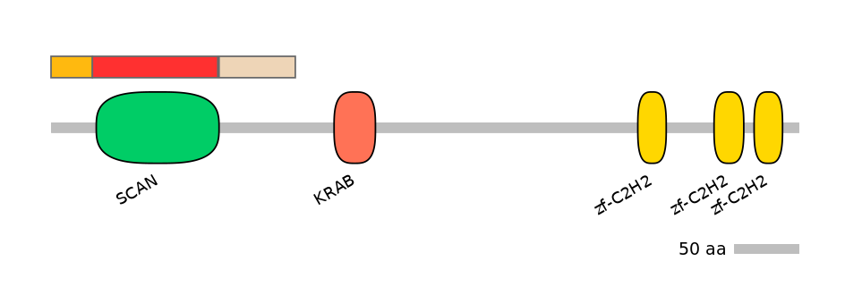 RnoALTD0034522-4_4-INC