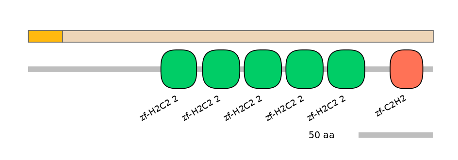 RnoALTD0034584-1_2-INC