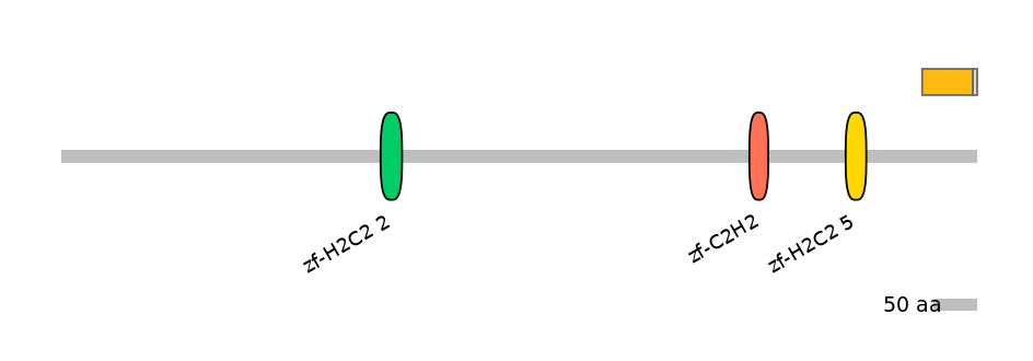RnoALTD0034648-1_3-INC