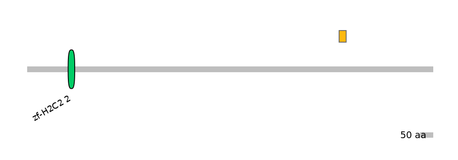 RnoALTD0034649-2_2-EXC