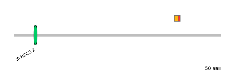 RnoALTD0034649-2_2-INC
