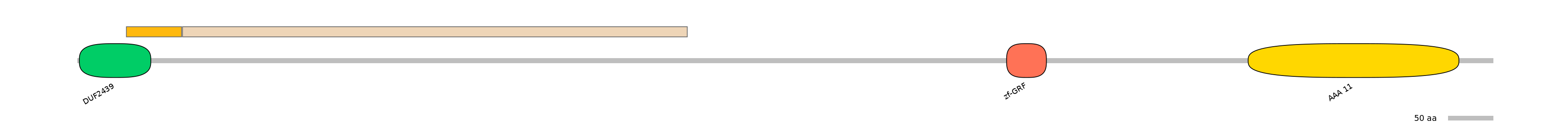 RnoALTD0034705-1_2-INC