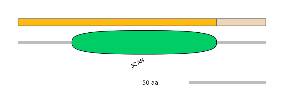 RnoALTD0034816-1_3-EXC