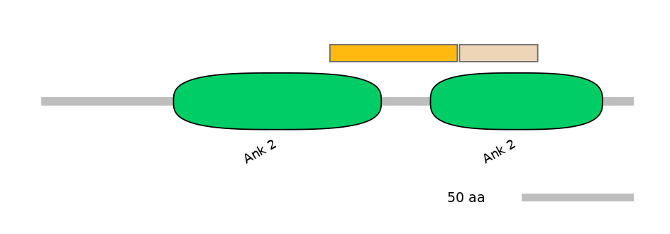RnoEX0002121-EXC
