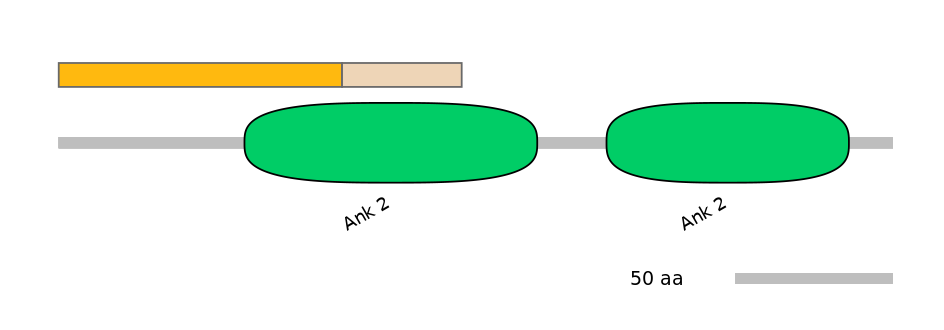 RnoEX0002123-EXC