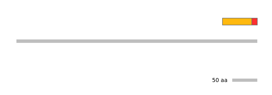 RnoEX0002419-INC