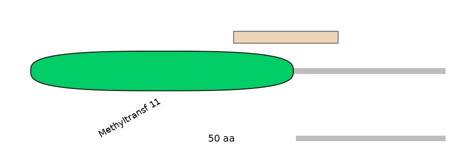 RnoEX0003013-EXC