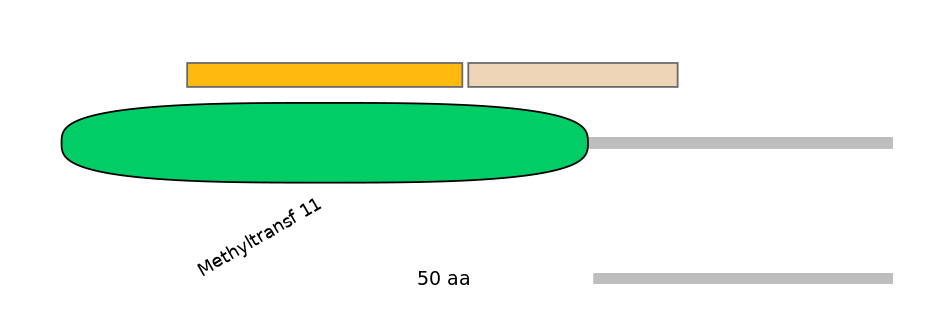 RnoEX0003015-EXC
