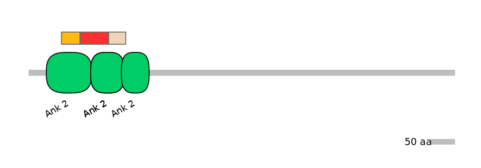 RnoEX0004522-INC