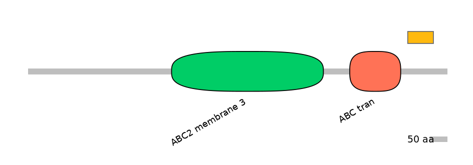 RnoEX0004754-EXC
