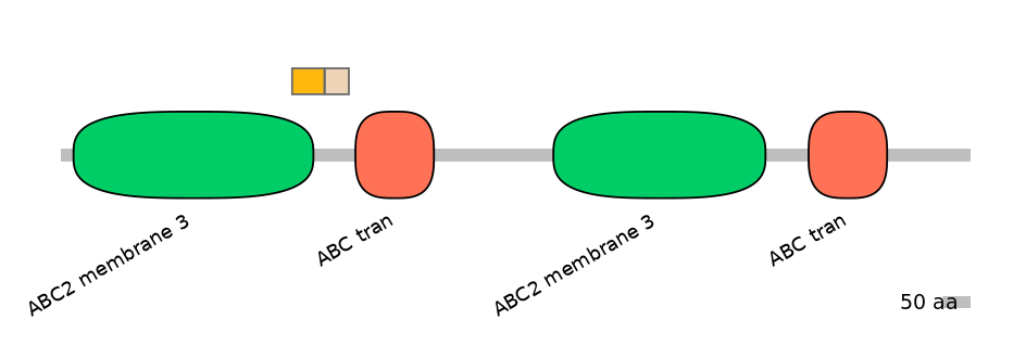 RnoEX0004782-EXC
