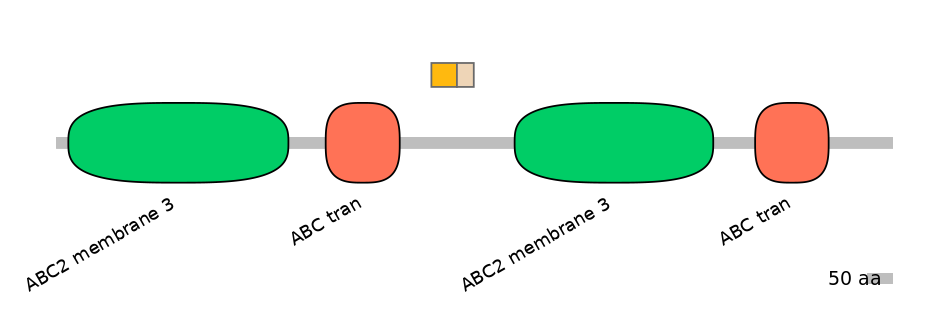 RnoEX0004786-EXC