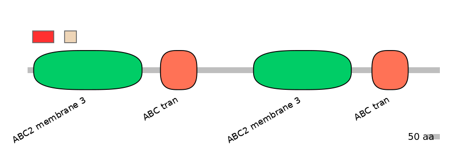RnoEX0004801-INC