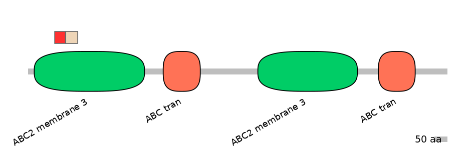 RnoEX0004802-INC