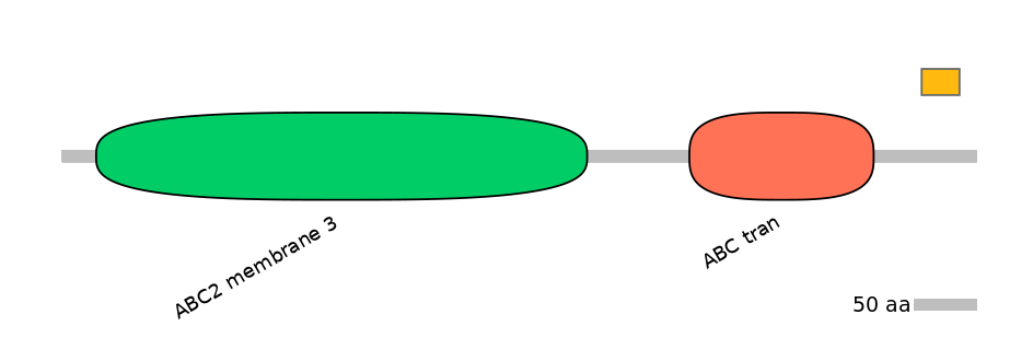 RnoEX0004938-EXC
