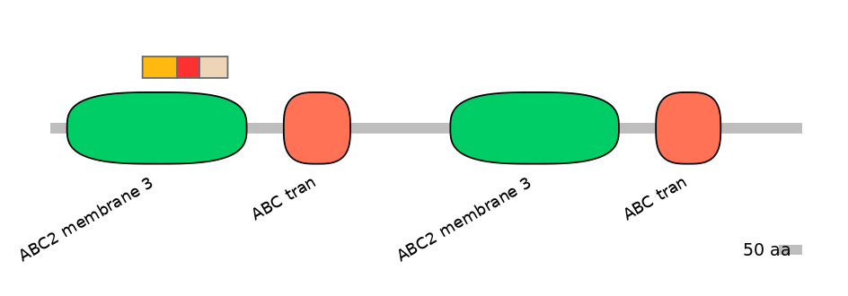 RnoEX0004989-INC