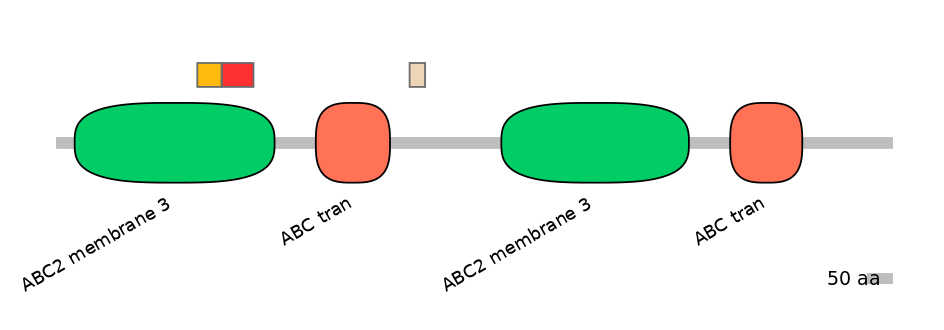 RnoEX0004990-INC