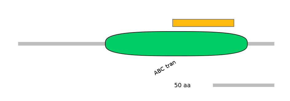 RnoEX0005344-EXC
