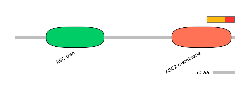 RnoEX0005351-INC