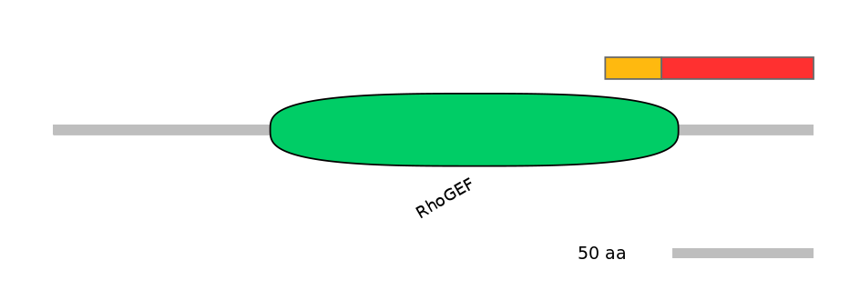 RnoEX0005577-INC