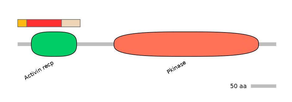RnoEX0006470-INC