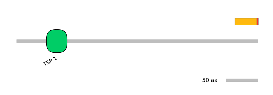 RnoEX0006936-INC