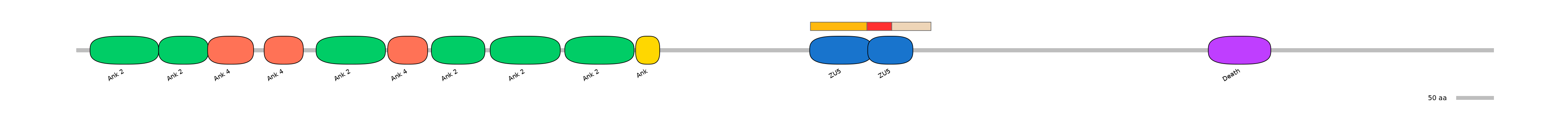 RnoEX0009384-INC