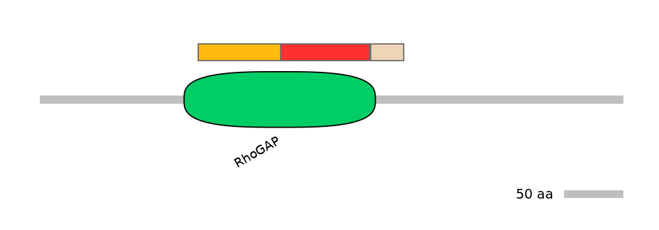 RnoEX0010961-INC