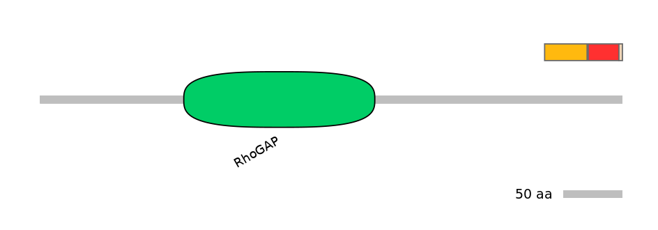 RnoEX0010964-INC