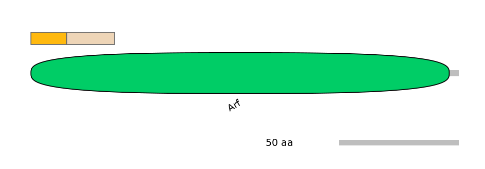 RnoEX0011634-EXC