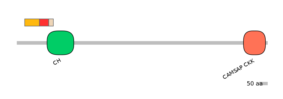 RnoEX0016550-INC