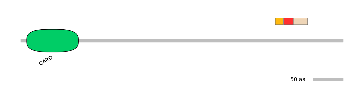RnoEX0016915-INC