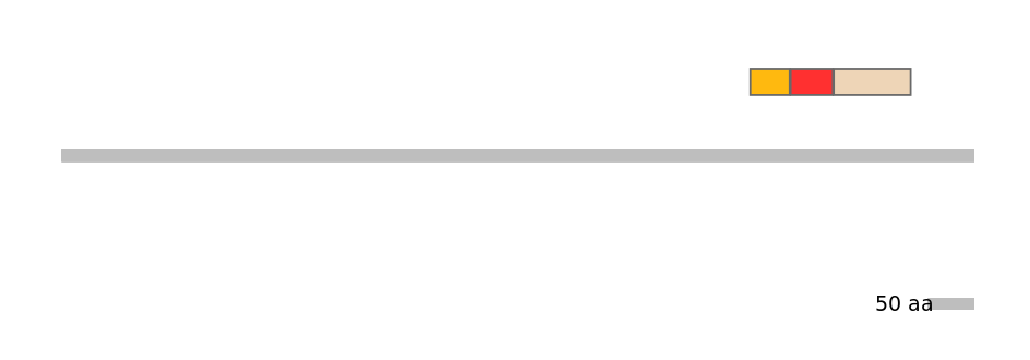 RnoEX0017649-INC